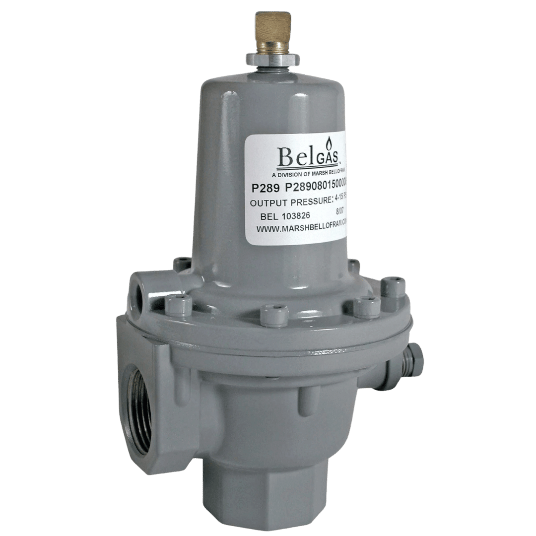 P289 Back Pressure Regulator